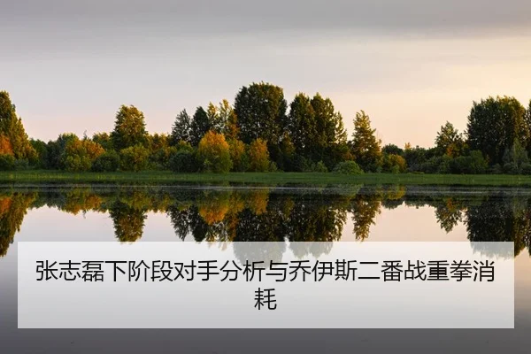 zhang-zhi-lei-xia-jie-duan-dui-shou-fen-xi-yu-qiao-yi-si-er-fan-zhan-zhong-quan-xiao-hao-2-395.jpg