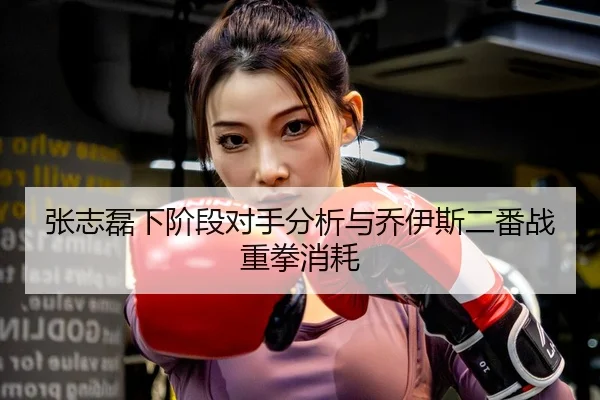 张志磊下阶段对手分析与乔伊斯二番战重拳消耗