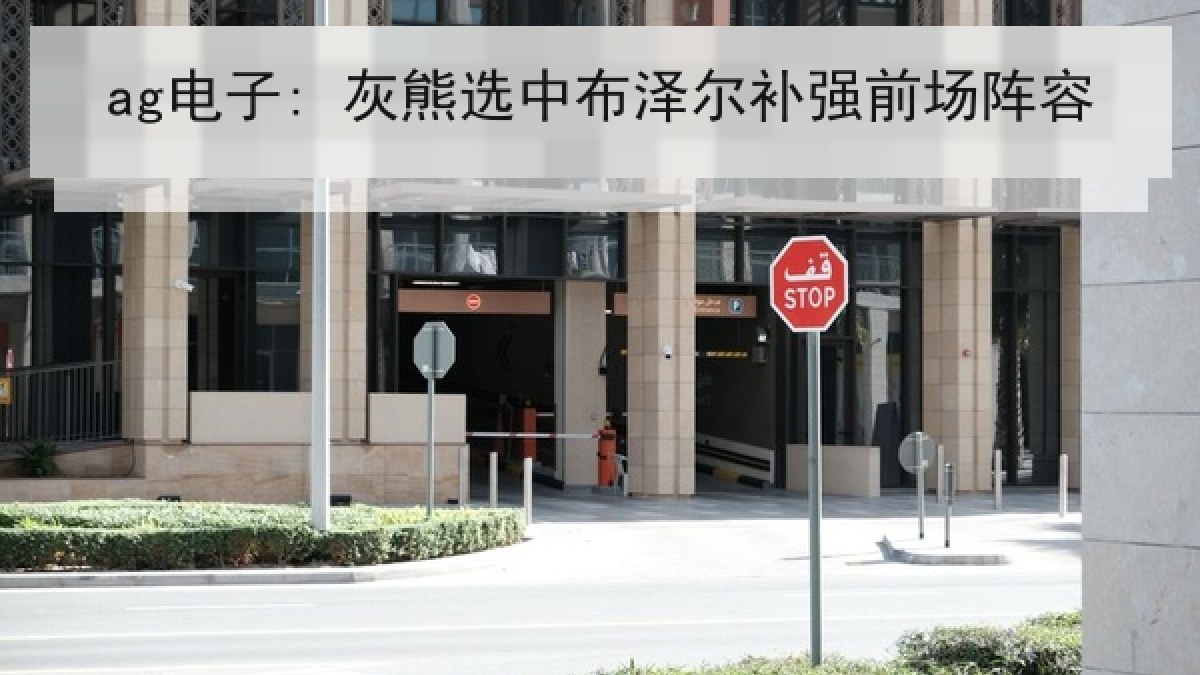 ag电子: 灰熊选中布泽尔补强前场阵容