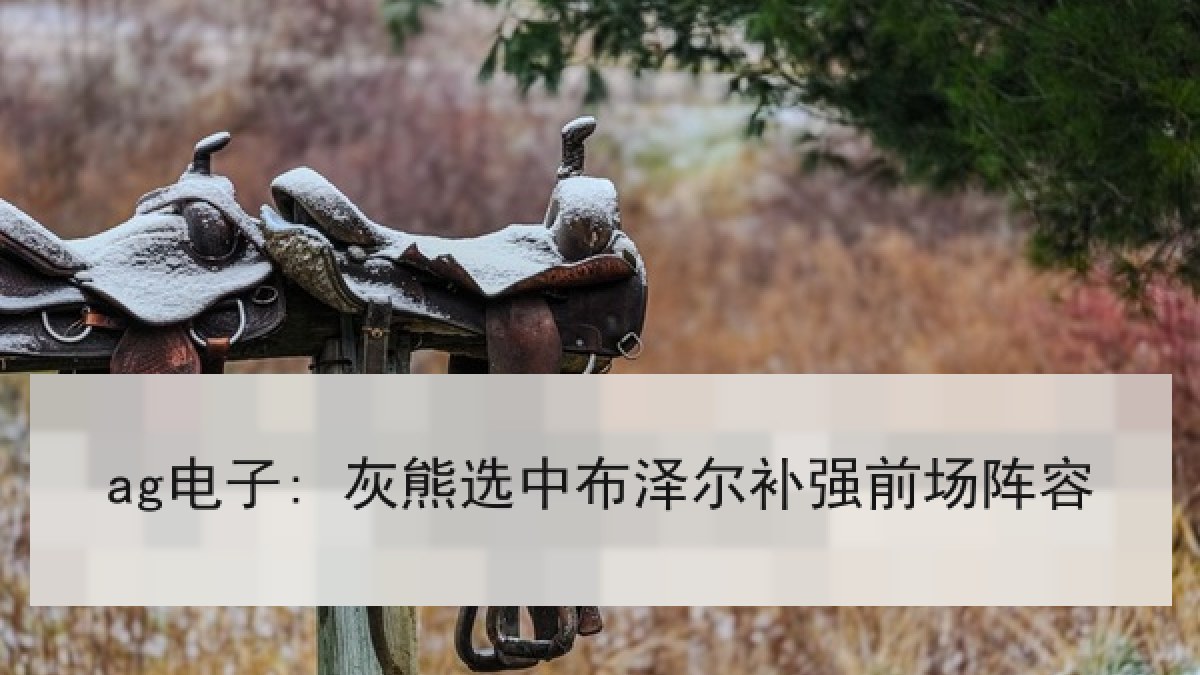 ag电子: 灰熊选中布泽尔补强前场阵容
