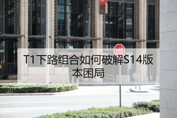 T1下路组合如何破解S14版本困局