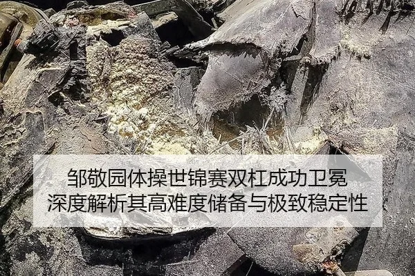 邹敬园体操世锦赛双杠成功卫冕 深度解析其高难度储备与极致稳定性